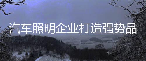 才能赢得更大的打造市场