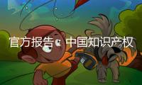 官方报告：中国知识产权公共服务能力和水平不断提升
