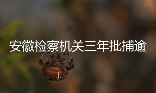 安徽起诉黑恶势力犯罪案件