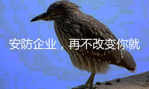 用低价去获得眼前一时利益