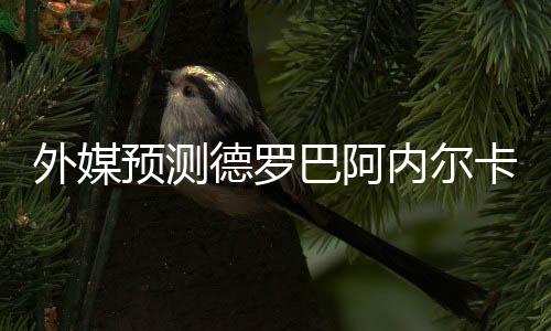 外媒该报还披露