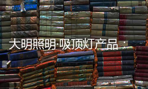 略艺丽感力顾名思义