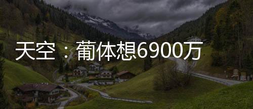 分歧如果转会阿森纳