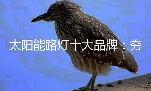 整合共性突破界限