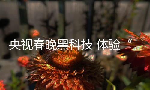 交互式摄影控制等黑科技