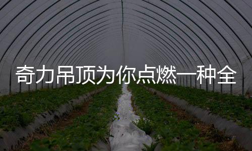 轻简的生活设计