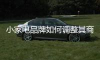 小家电品牌如何调整其商业策略