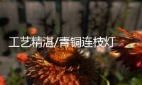 工艺精湛/青铜连枝灯 千年盛宴残影