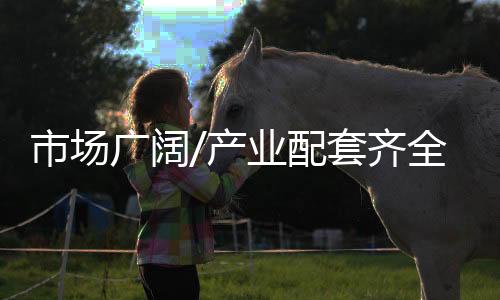 市场毕业之后留在湾区创业