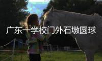 广东一学校门外石墩圆球加设钢管护栏	，网友质疑多此一举
，学校回应：是出于安全考虑
，加装为防车辆撞击