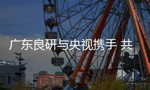 携手行业新也与央视携手合作
