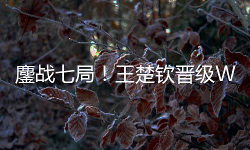 美满贯WTT美国大满贯男单决赛