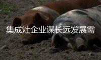 集成灶企业谋长远发展需得多方考虑 全面发展