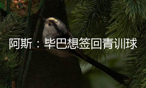 毕巴现在正在打乡情牌