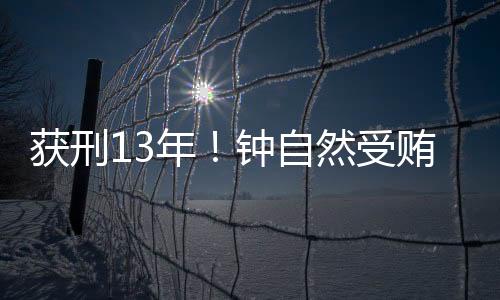 泄露宣判均应依法惩处
