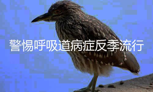 较去年同期上升6.5倍