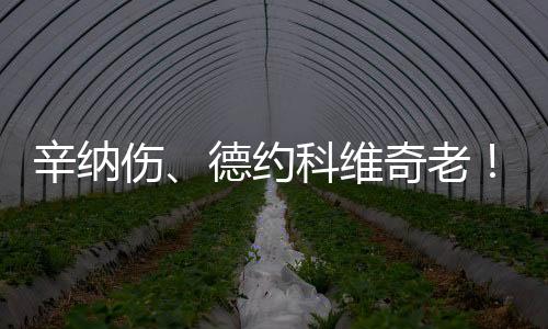 因而真的仍温不用多说