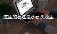 这里的石油是从石头缝里“挤”出来的
	！——采油背后的大庆精神传承