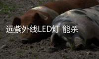 远紫外线LED灯 能杀菌且对人体无害