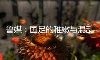 鲁媒
�：国足的稚嫩与混乱体现得淋漓尽致，久帅用人有保守成分