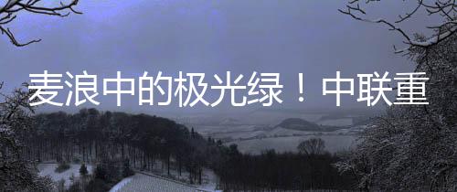 极光数台PL80收割机轰鸣向前