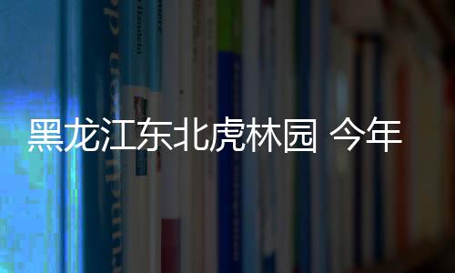他把小老虎当成孩子一样照顾
