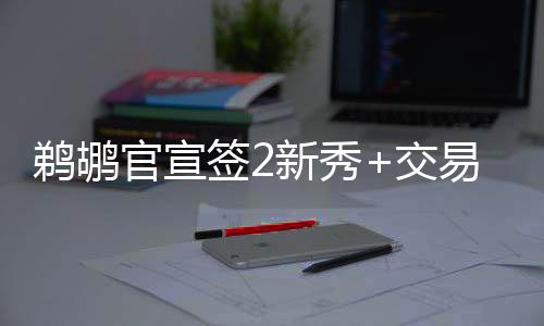 28-29赛季810万（球队选项）