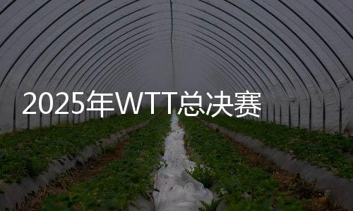 作为赛季末WTT系列赛收官之战
