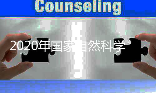年国做好基金立项工作