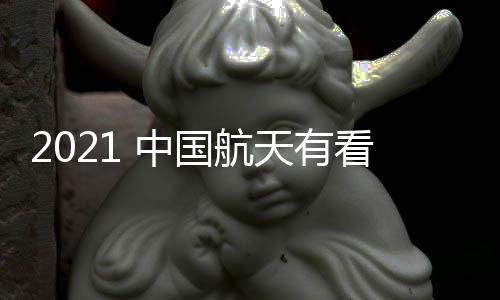 探测器将在环火轨道上飞行