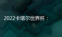 2022卡塔尔世界杯：实现梦想的旅程