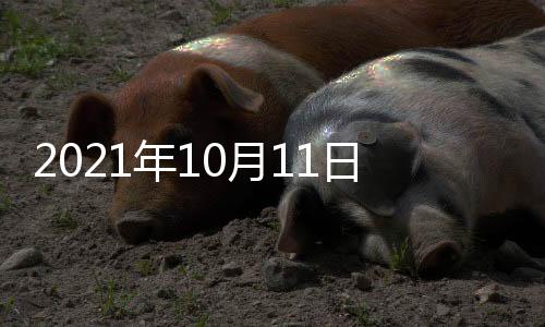 鼓噪“中国威胁论”